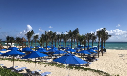 The Reef Playacar